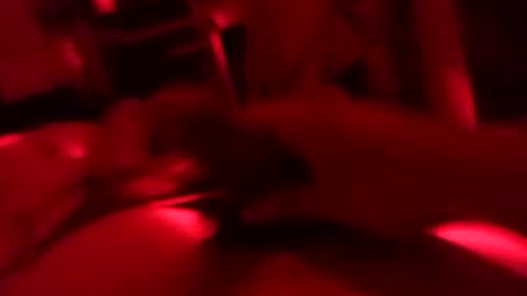 Snapshot of andres200603 chatting on March 20, 2026, 7:02 am andres200603 online show from March 20, 2026, 7:02 am