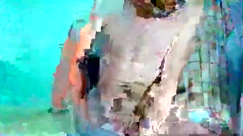 FLACO online show from December 5, 2024, 6:21 am