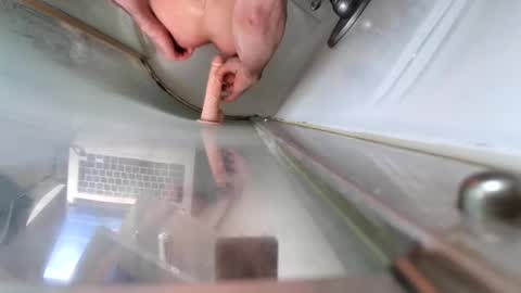 Snapshot of andybadass chatting on March 10, 2025, 12:37 pm andybadass online show from March 10, 2025, 12:37 pm