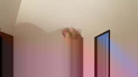 Snapshot of andysap chatting on January 10, 2025, 1:09 pm andysap online show from January 10, 2025, 1:09 pm