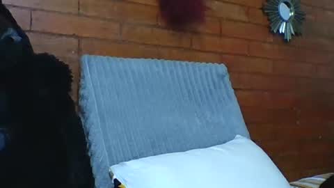  Angela  online show from December 19, 2025, 7:10 pm