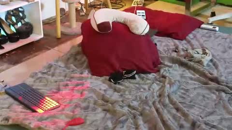 Snapshot of angelinasia chatting on March 12, 2025, 4:51 am Angel online show from March 12, 2025, 4:51 am