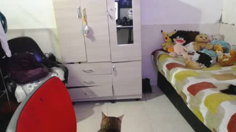 angels online show from September 25, 2025, 7:06 pm