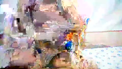 anielah online show from January 22, 2025, 12:27 pm