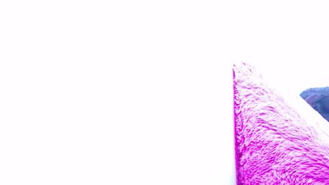 ana independent model online show from January 15, 2025, 7:37 am