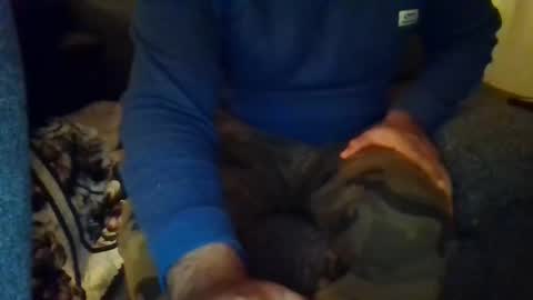 DesiGuy online show from December 8, 2024, 8:47 pm