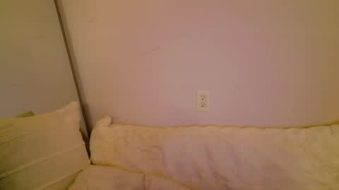 meow online show from November 8, 2025, 5:29 am