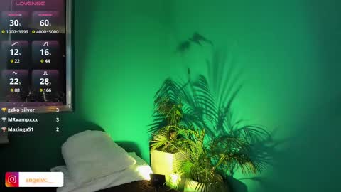 Snapshot of anne_babb chatting on February 15, 2025, 11:58 pm ANG online show from February 15, 2025, 11:58 pm