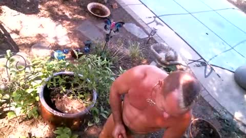 anoaklawnguy online show from April 23, 2026, 3:47 pm