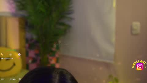 Nell. online show from November 3, 2025, 4:47 am