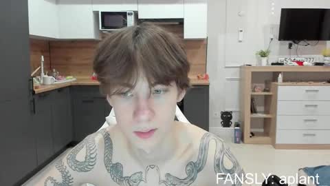 aplant_ online show from February 3, 2026, 7:19 pm