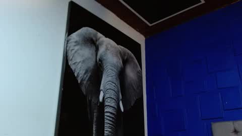 Apolo online show from February 11, 2025, 8:48 am