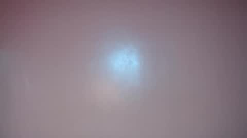 apple2561 online show from May 12, 2026, 3:42 pm
