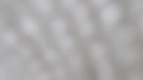 April online show from December 11, 2024, 11:54 pm