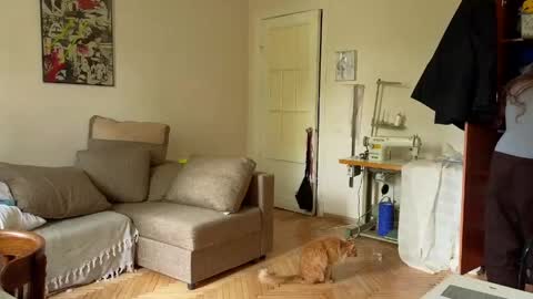 aqua_sultry online show from June 1, 2026, 8:38 am