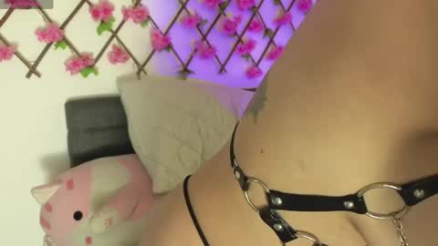 Snapshot of aria_silk chatting on April 20, 2026, 6:31 pm aria_silk online show from April 20, 2026, 6:31 pm