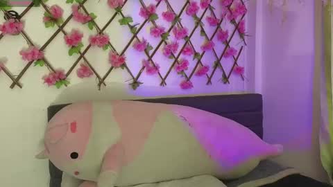 Snapshot of aria_silk chatting on April 25, 2026, 4:04 pm aria_silk online show from April 25, 2026, 4:04 pm