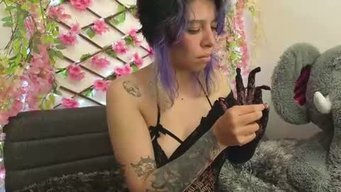 aria_silk online show from June 26, 2026, 7:51 pm