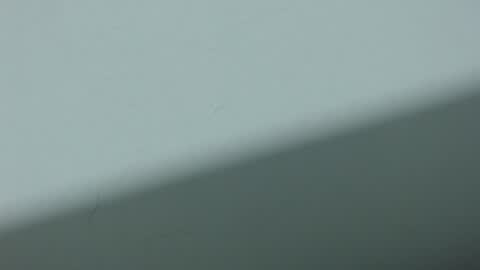 ...Ariana... online show from October 20, 2025, 3:29 am