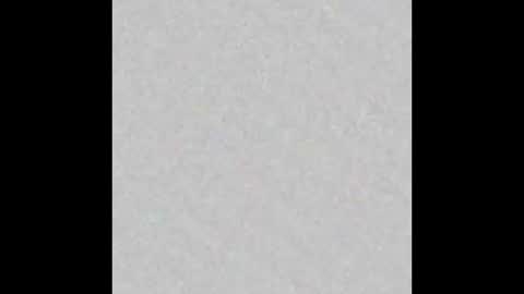 Arianna Collins online show from March 12, 2025, 12:04 pm