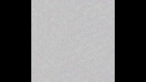 Arianna Collins online show from September 22, 2025, 11:45 am