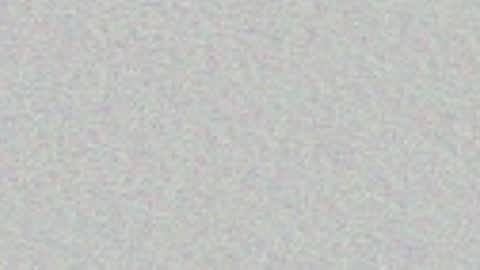 Arianna Collins online show from April 15, 2026, 11:28 am