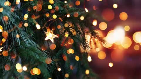 Snapshot of artanm2 chatting on December 23, 2024, 6:16 pm natra online show from December 23, 2024, 6:16 pm