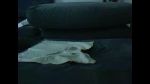 Snapshot of artanm2 chatting on January 9, 2025, 6:47 pm natra online show from January 9, 2025, 6:47 pm