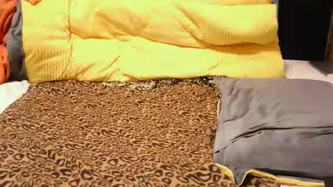 ashlery  online show from November 17, 2025, 4:18 am