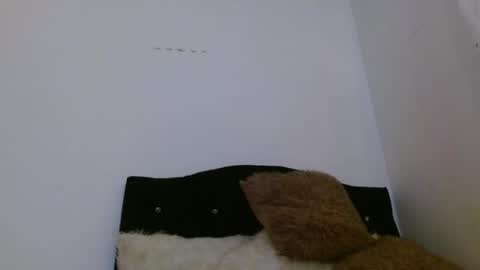 ASHLEY online show from April 5, 2026, 2:25 pm