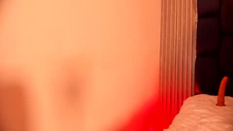 ashlybenison online show from December 27, 2024, 6:46 am