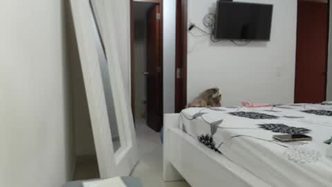 AshlyMoon online show from February 15, 2025, 9:37 pm