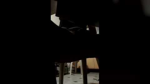 ashutoshkhanna online show from February 15, 2026, 7:32 pm