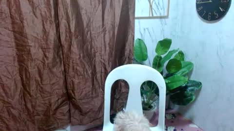 Nico online show from February 21, 2025, 11:01 am