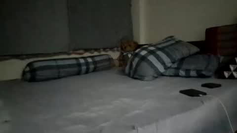 asianthai online show from September 21, 2025, 9:27 pm