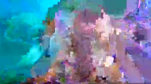 Snapshot of aspyporn chatting on January 26, 2025, 10:46 pm Aspy online show from January 26, 2025, 10:46 pm