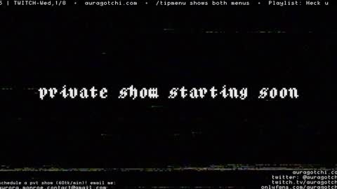 Snapshot of auragotchi chatting on January 4, 2025, 11:06 pm Aurora Aura online show from January 4, 2025, 11:06 pm