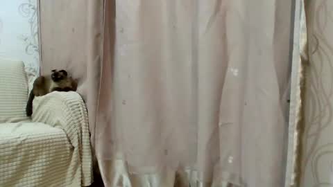 Snapshot of aurora_breeze chatting on February 25, 2026, 2:48 pm Kiara Xanthe online show from February 25, 2026, 2:48 pm