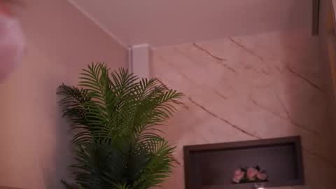 Ava online show from February 6, 2026, 4:39 am