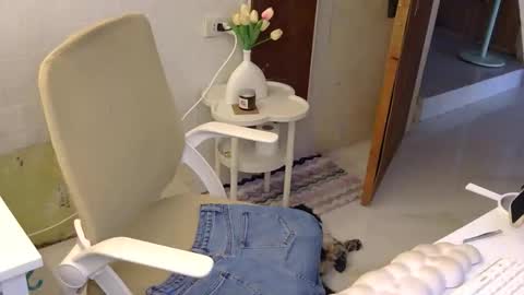 Rhian online show from November 21, 2025, 3:05 am