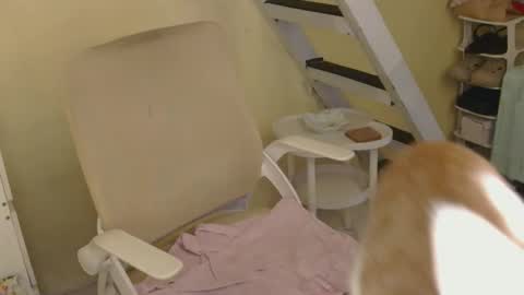 Snapshot of averageuncut1 chatting on February 16, 2026, 3:24 am Rhian online show from February 16, 2026, 3:24 am