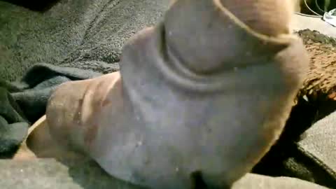 Axelle online show from November 7, 2025, 10:21 pm