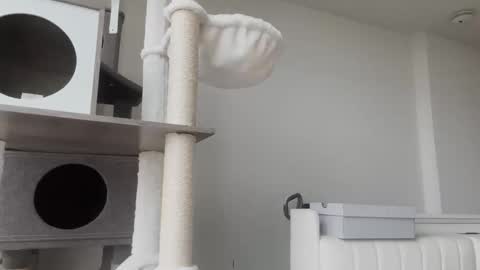 DADDY online show from January 8, 2026, 11:01 am