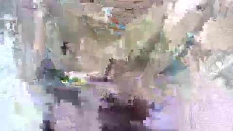 babymom1 online show from March 7, 2025, 8:33 pm