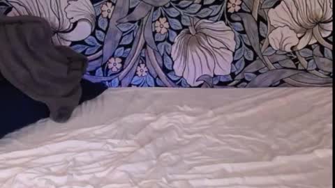 Ava online show from September 30, 2025, 1:21 am