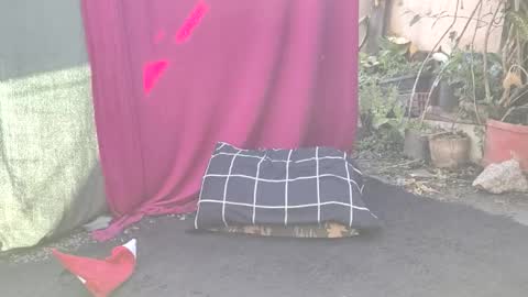 Snapshot of bad_wolf28 chatting on November 25, 2025, 10:26 am bad_wolf28 online show from November 25, 2025, 10:26 am