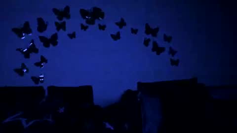 Snapshot of badgg chatting on February 12, 2025, 6:09 pm Gina online show from February 12, 2025, 6:09 pm