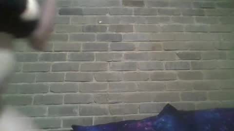 Chaterlain online show from February 13, 2025, 10:23 am