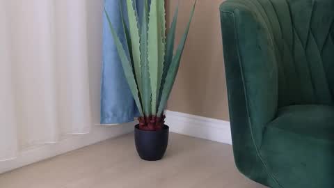 bailey_rush online show from December 3, 2025, 4:49 pm