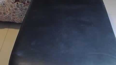 Snapshot of baker305 chatting on October 30, 2025, 2:46 am baker305 online show from October 30, 2025, 2:46 am